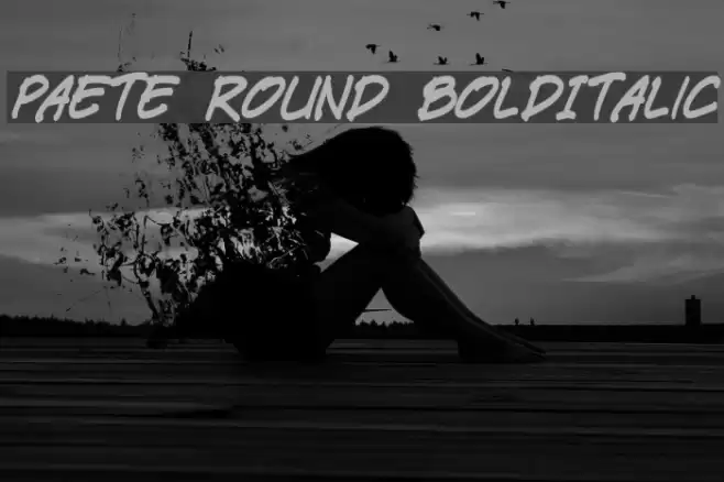 Paete Round BoldItalic Font examples
