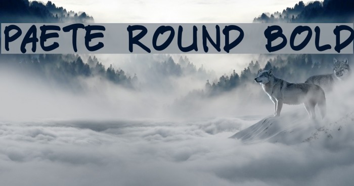 Paete Round Bold Example 3