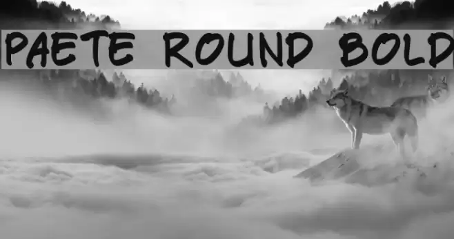 Paete Round Bold Font examples