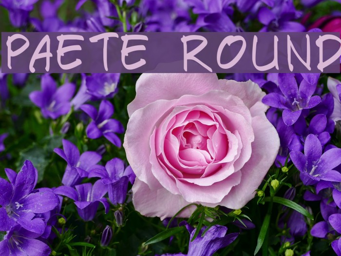 Paete Round Font examples