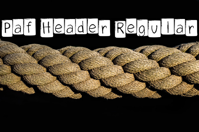 Paf Header Regular Example 2