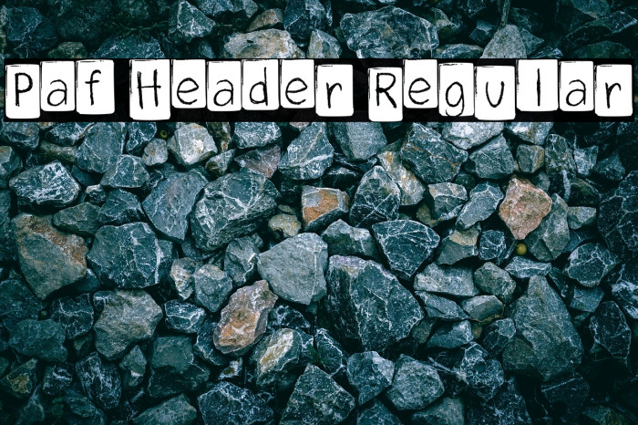 Paf Header Regular Example 3