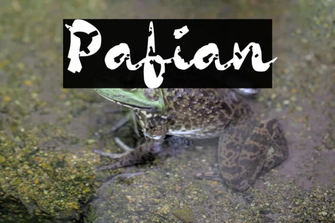 Pafian Example 1