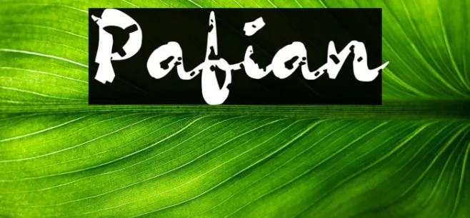 Pafian Example 2