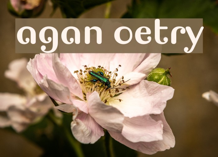 Pagan Poetry Font examples