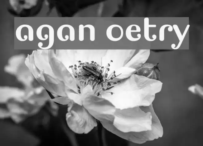 Pagan Poetry Caratteri examples