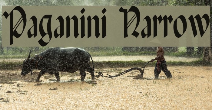 Paganini Narrow Font examples