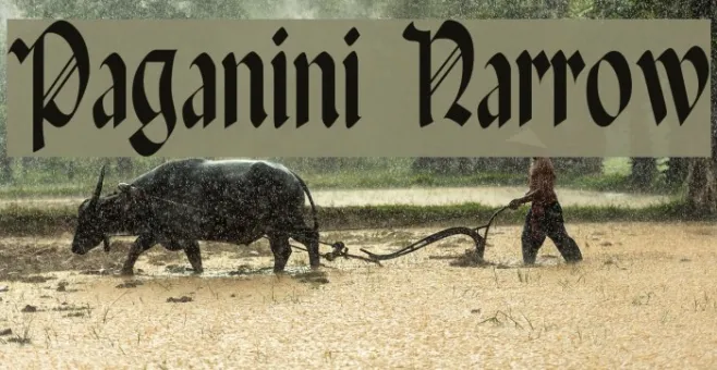 Paganini Narrow Example 2