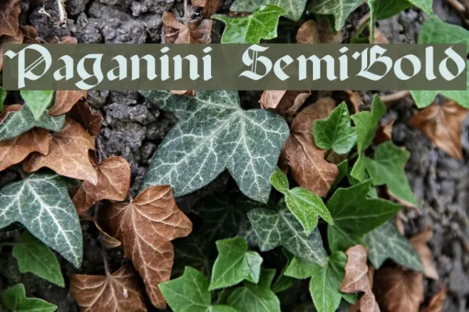 Paganini SemiBold Example 2