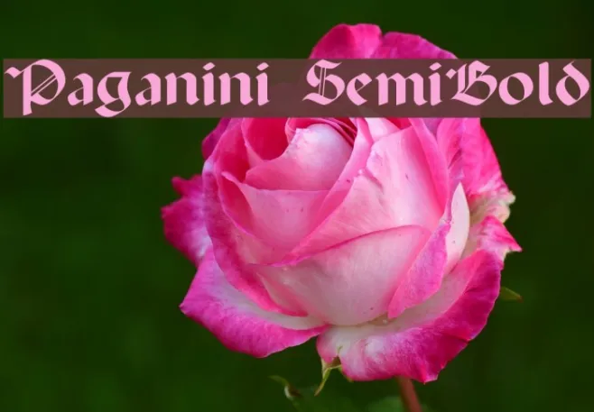 Paganini SemiBold Example 3