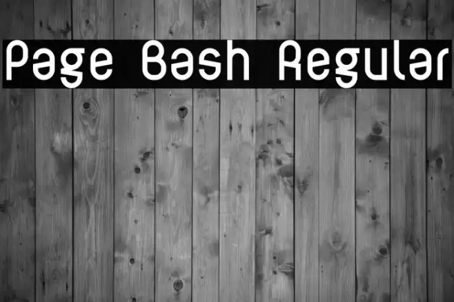 Page Bash Regular Font examples