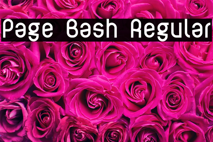 Page Bash Regular Example 3