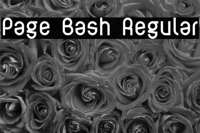 Page Bash Regular Font examples