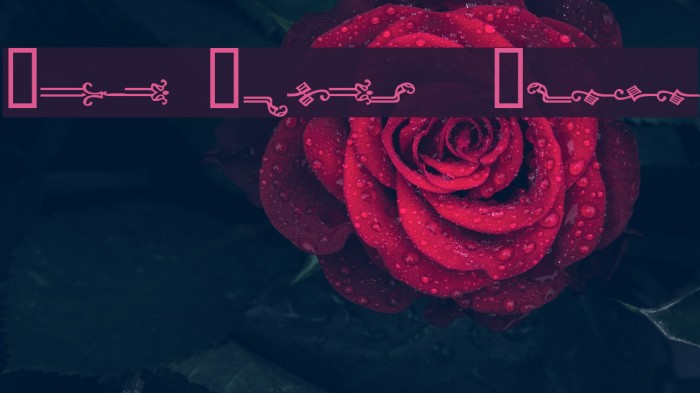 Page Rules Promo Font examples