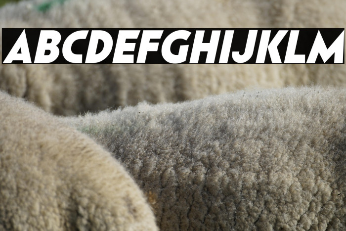 Pages Grotesque Black Demo Italic Example 3