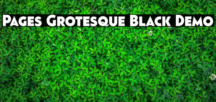 Pages Grotesque Black Demo Font examples