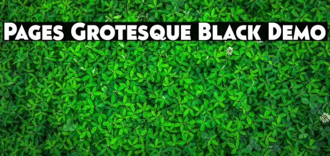 Pages Grotesque Black Demo Example 1