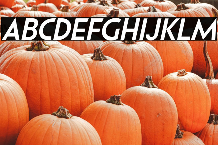 Pages Grotesque Demo Bold Italic Example 3