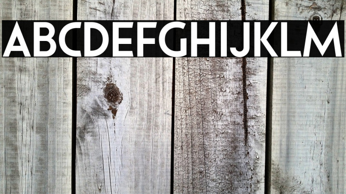 Pages Grotesque Demo Bold Example 1