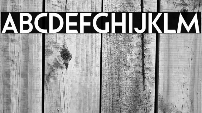 Pages Grotesque Demo Bold Font examples