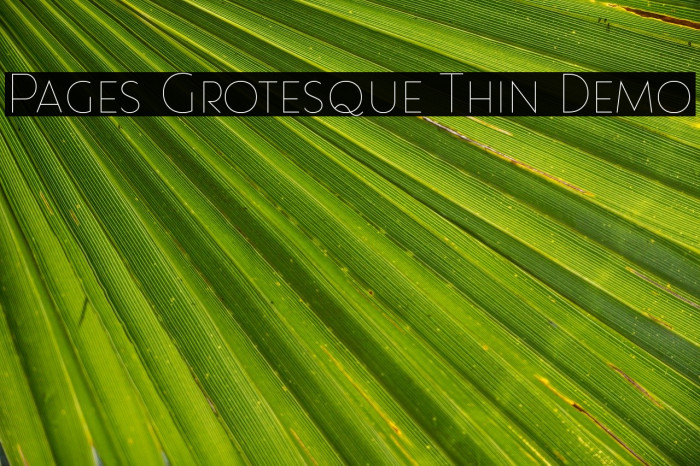 Pages Grotesque Thin Demo Font examples