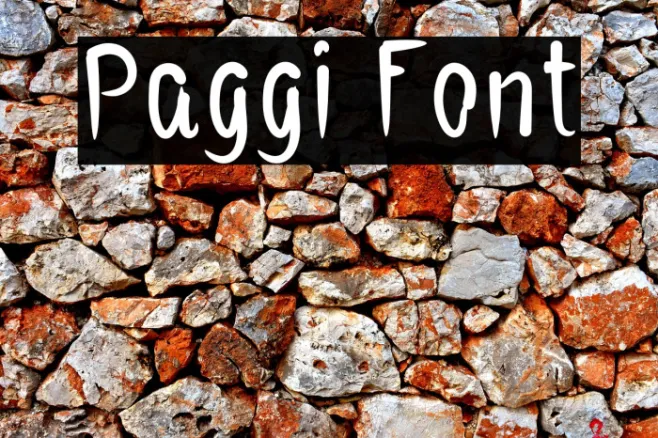 Paggi Example 1