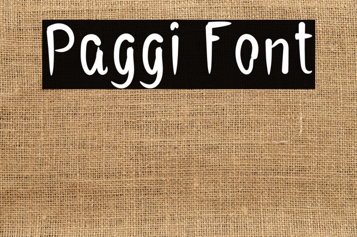 Paggi Example 3