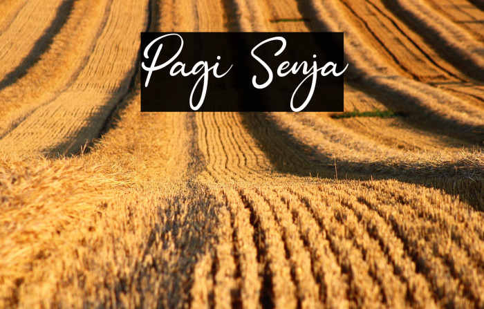 Pagi Senja Example 3