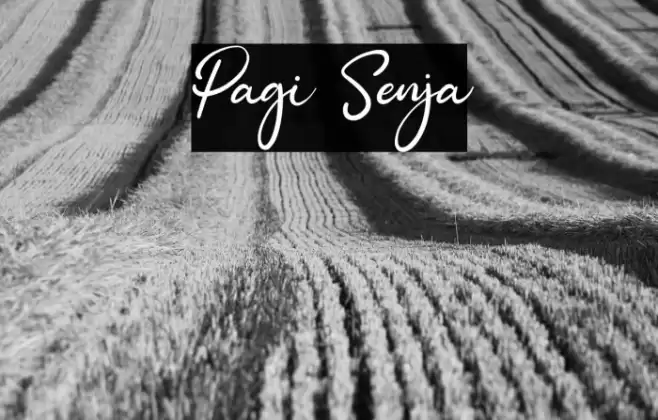 Pagi Senja Font examples