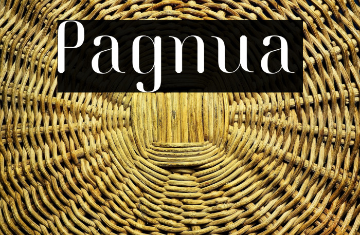 Pagnua Example 2