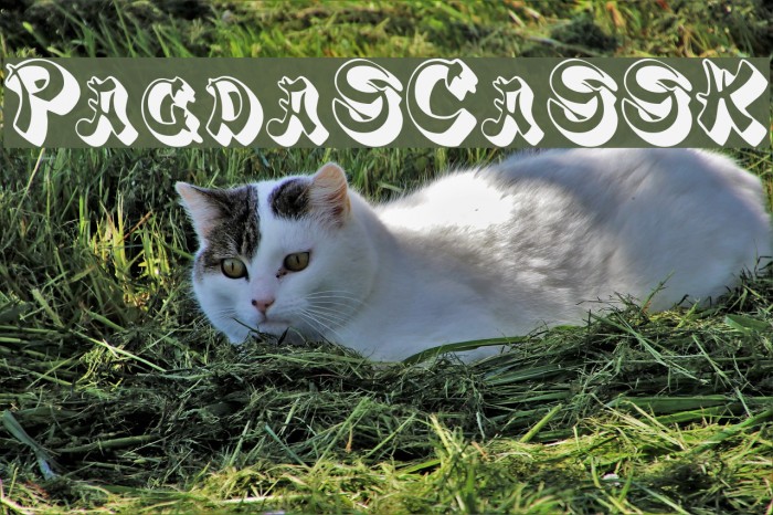 PagodaSCapsSSK Font examples
