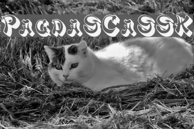 PagodaSCapsSSK خط examples