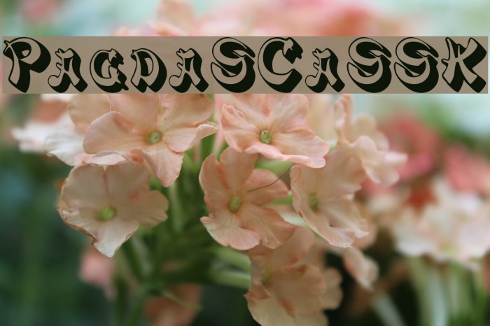 PagodaSCapsSSK Font examples