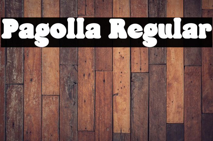 Pagolla Regular Example 1