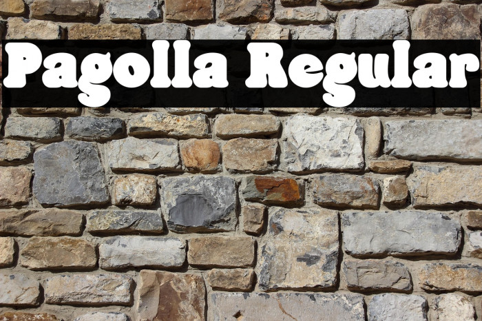 Pagolla Regular Example 2