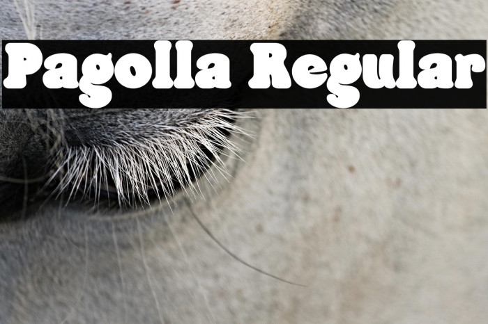 Pagolla Regular Example 3