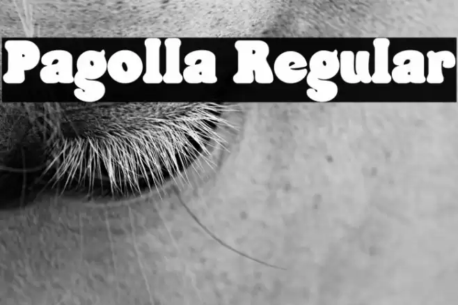Pagolla Regular خط examples