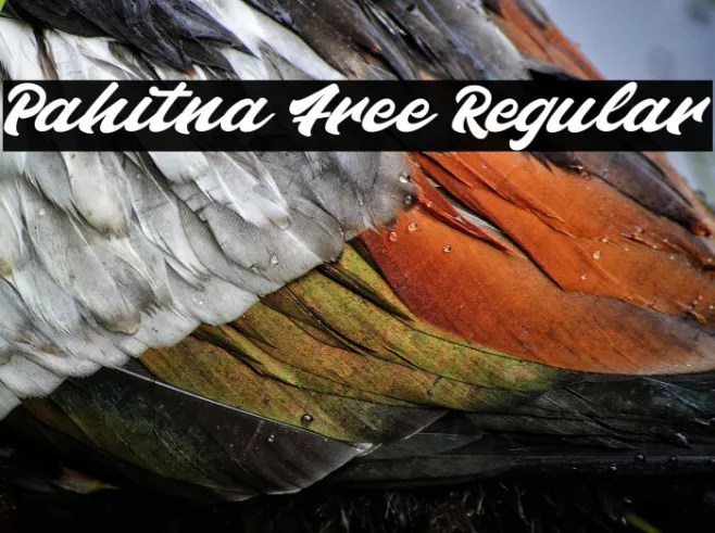 Pahitna Free Regular Example 3