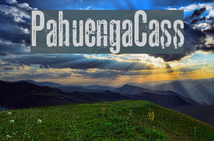 PahuengaCass Font examples