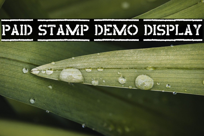 Paid Stamp Demo Display Example 1