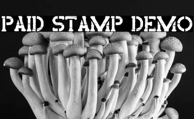 Paid Stamp Demo Font examples