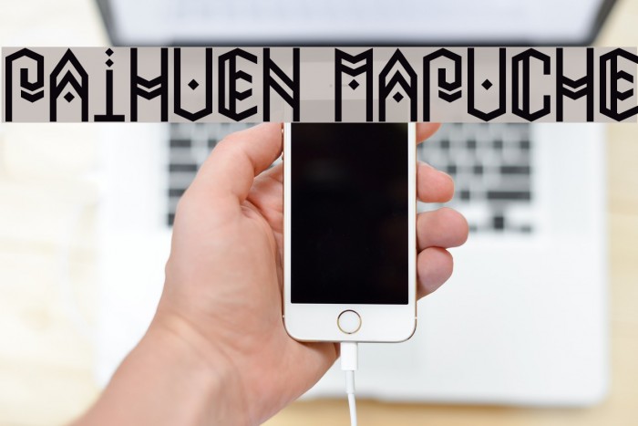 Paihuen Mapuche Example 1