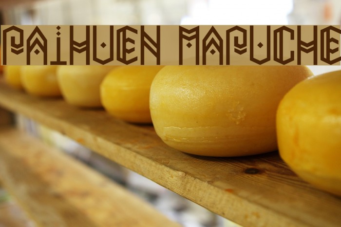 Paihuen Mapuche Example 2