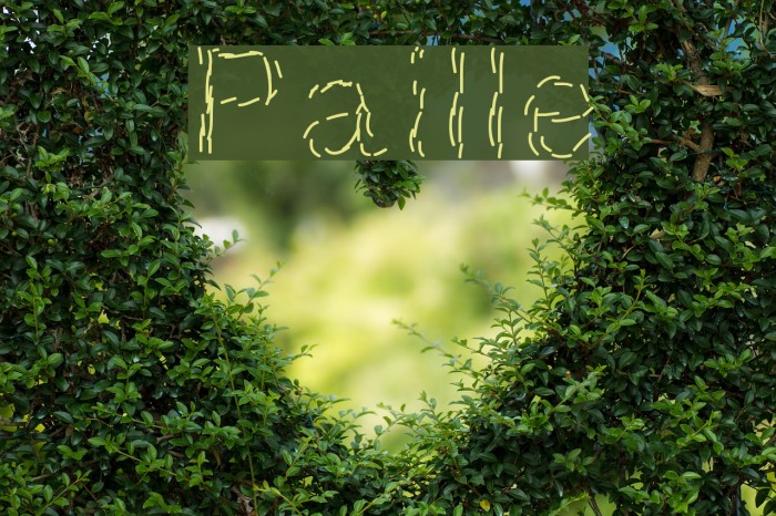 Paille Font examples