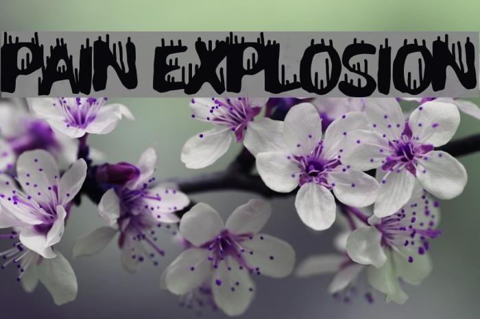 Pain Explosion Font examples