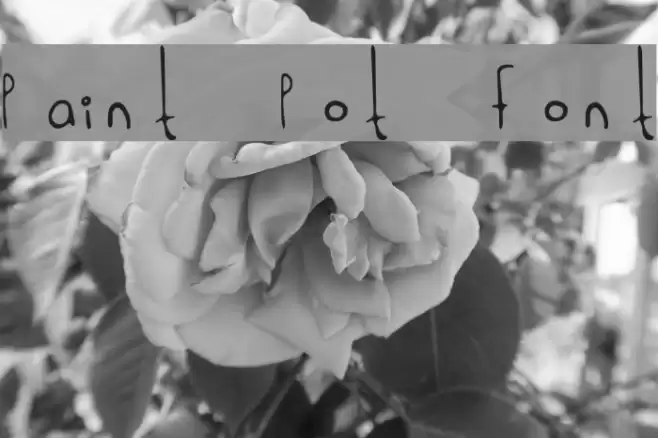 Paint Pot Font Font examples