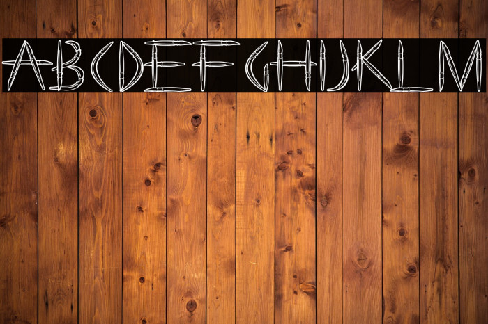 PaintBoy-Regular Example 2