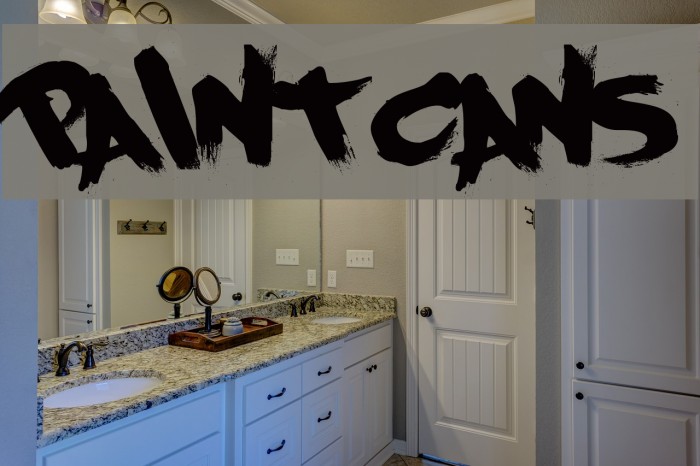 PaintCans Fonte examples