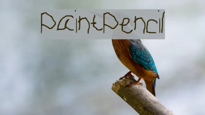 PaintPencil Example 3