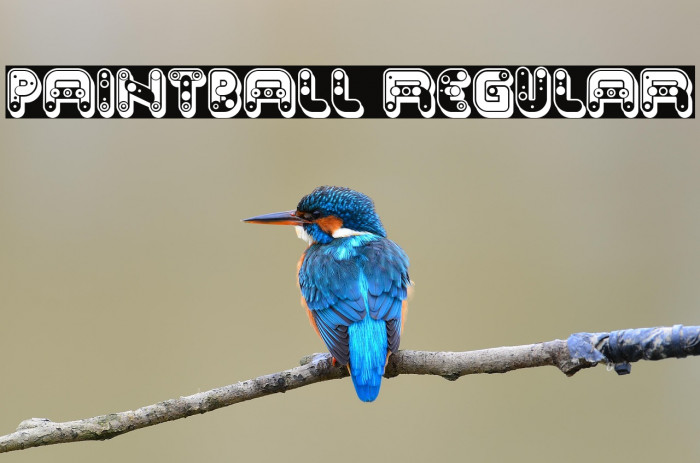 Paintball Regular Example 1